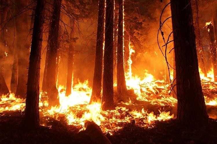Dichiarazione stato di massima pericolosità per gli incendi boschivi su tutto il territorio regionale del Piemonte