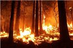 Dichiarazione stato di massima pericolosità per gli incendi boschivi su tutto il territorio regionale del Piemonte